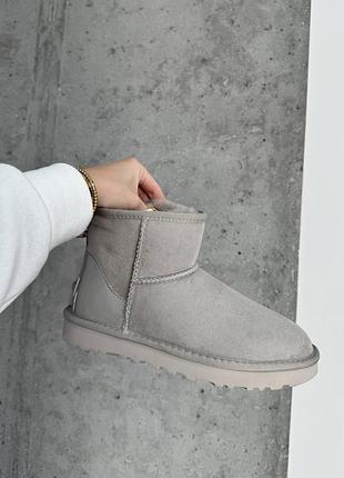Ugg mini mokko glossiness premium