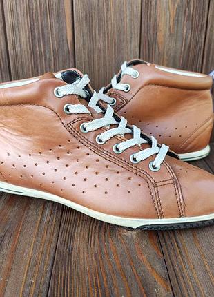 Кеди ecco шкіра данія 38р черевики кеды  ботинки