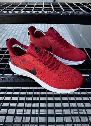 Кроссовки nike zoom pegasus 3