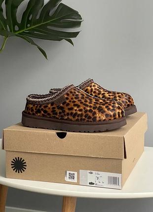 Трендові ugg tasman caspian burnt cedar уггі жіночі