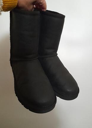 Ugg australia classic оригінал жіночі шкіряни уггі чоботи 38