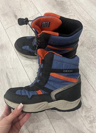 Черевики geox