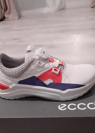 Кожаные кроссовки ecco 🔥