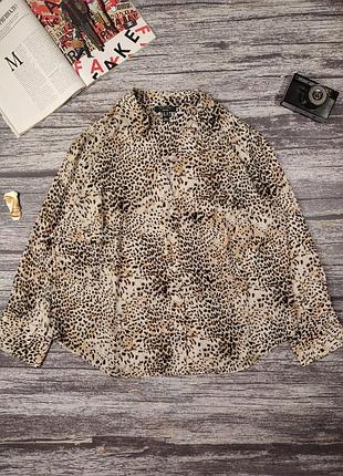 Блуза жіноча