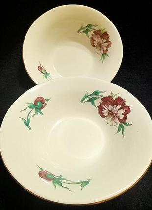 Суповые новые тарелки дома фаянс красивого цвета