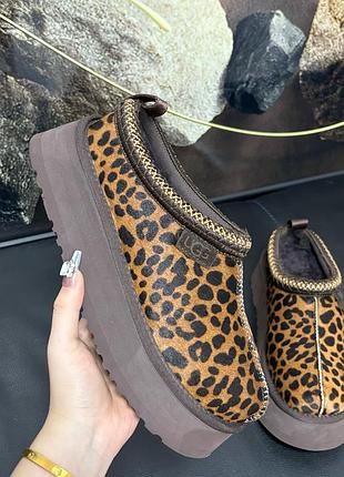 Угги ugg tazz caspian