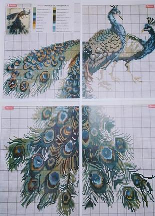 Схема вышивки картина павлины, цвет, 4 листа а4, бисер, крестик