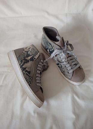Кожаные серые кеды хайтопы vionic 38