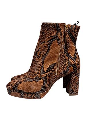 Ботильйони змія