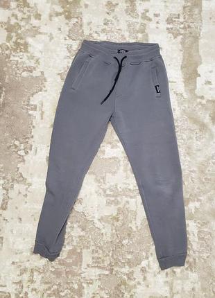 Штаны спортивные теплые мужские серые