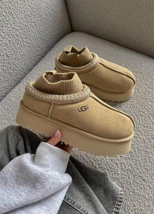Жіночі уггі ugg tasman platform sock beige бежевого кольору платформа