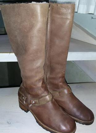 Ugg (встралия)- кожаные сапоги р.37 1/2 24 см)