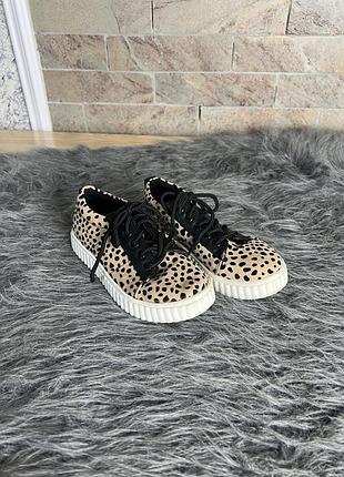 Кросівки в леопард