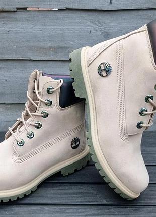 Жіночі повсякденні черевики світлого кольору  з райдужними детялями   timberland