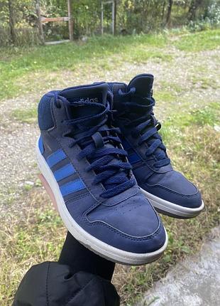 Кеди високі