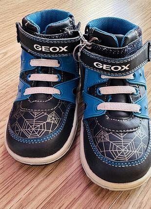 Geox демі 22 розмір