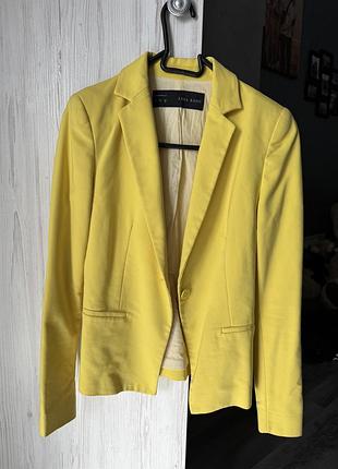 Стильний піджак