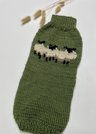 Одяг для кота