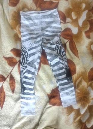 Лосини зебра