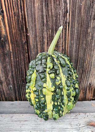 Гарбуз для декора