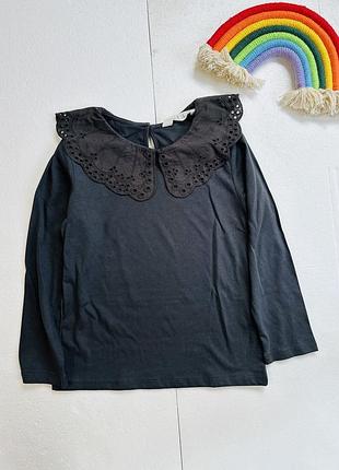 Блуза блузка реглан з комірцем