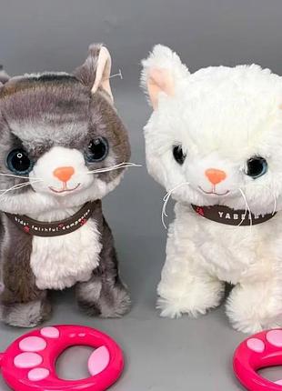 Кошка на поводке поет на английском языке ходит и виляет хвостиком