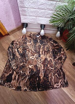 Блуза жіноча