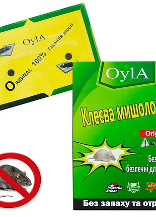 Клейкая пластина для мышей qs-5018 мала