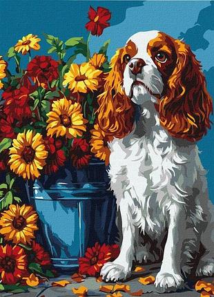 Набор для росписи по номерам ideyka кно6673 спаниель и цветы 30 х 40 см