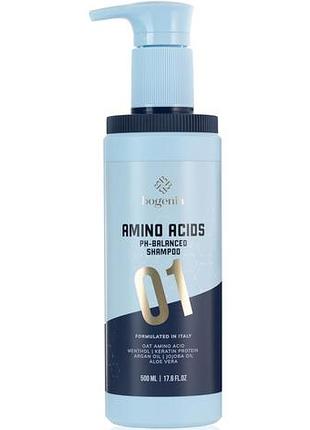 Шампунь для волос bogenia amino acidsl профессиональный 500 мл
