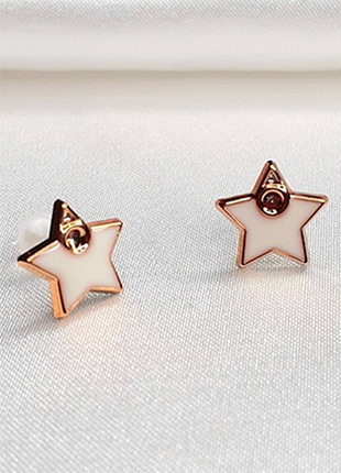 Нежные серьги-гвоздики "звездочка элегантности"