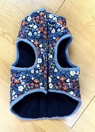 Harry barker одяг для собак