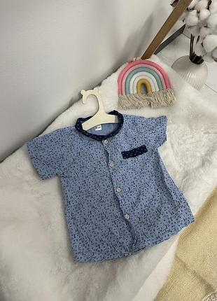 Стильная рубашечка с коротким рукавом, рубашка, рубашечка