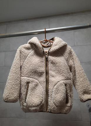 Куртка тедди, куртка