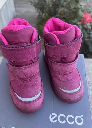 Ecco зимові ботинки