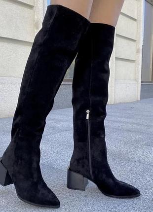 Ботфорди з натуральної замші