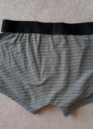 Брендовые боксеры cavailia.