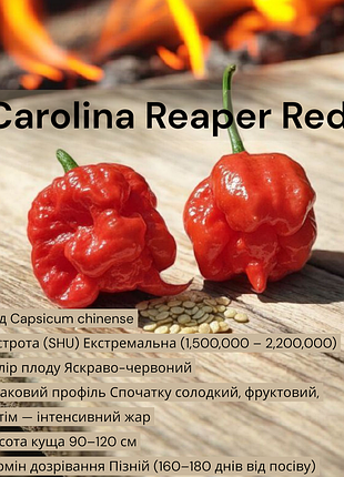 Насіння carolina reaper red