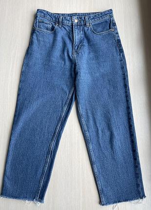 Бріджі жіночі