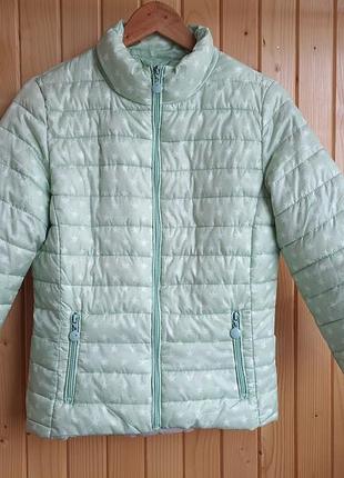 Курточка осень/весна