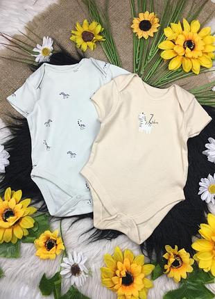 Бодіки з зебрами на 0-3 міс