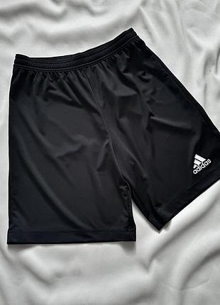 Спортивні шорти для тренуваннь та активних видів спорту