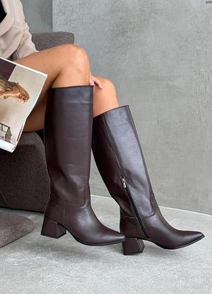 Стильные кожаные сапоги на каблуке с острым носиком