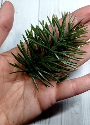 Ялинка, ялинкова гылочка маленька