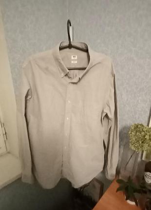 Сорочка  uniqlo