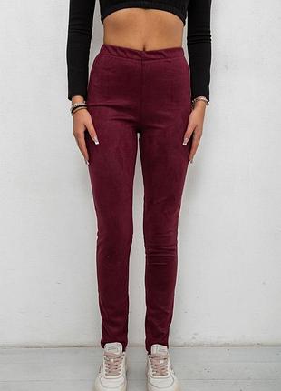 Лосини однотонні колір сливовий