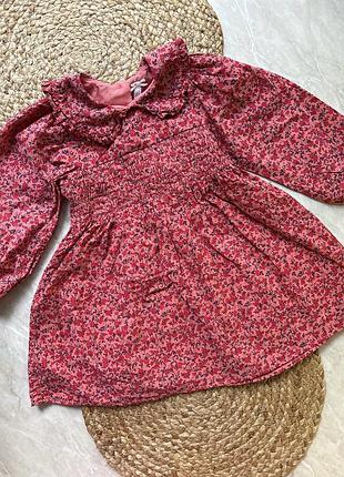 Сукня з комірцем next 2-3 роки