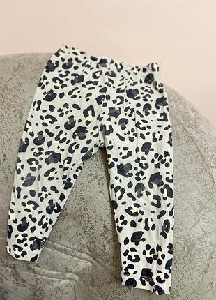 Лосини на дівчинку