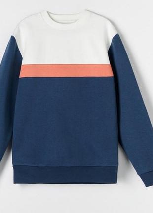 Толстовка, свитшот на утеплителе