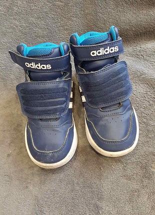 Кросівки снікерси високі